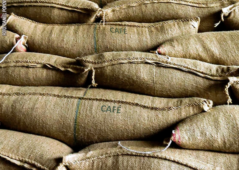 Produção recorde pode ter pressionado os valores do café arábica no ano passado