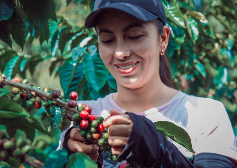 CNA inicia capacitação de mulheres do agro