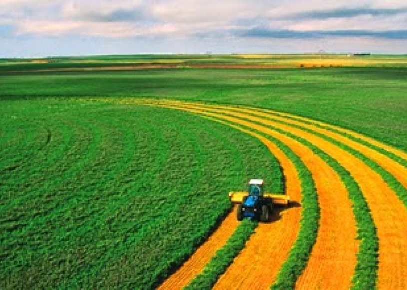 Novas tecnologias apoiam capacitação profissional no agronegócio   