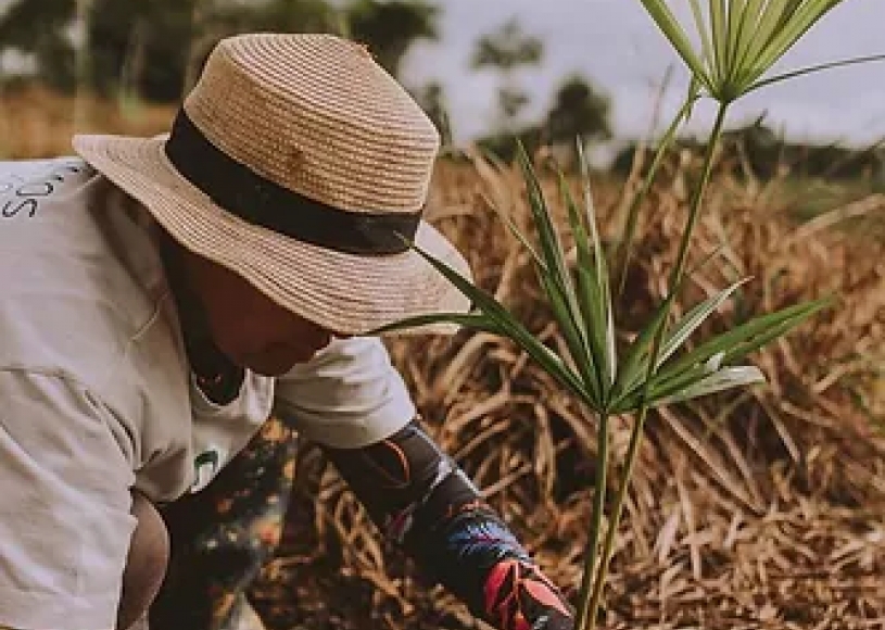 Pequenos negócios têm papel estratégico na agenda da sustentabilidade