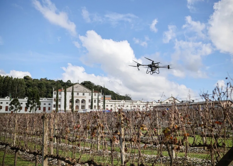 Drone para pulverização e IA para controle de doenças são inovações para a viticultura