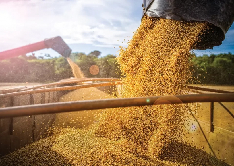 Como o agronegócio impulsiona a economia brasileira