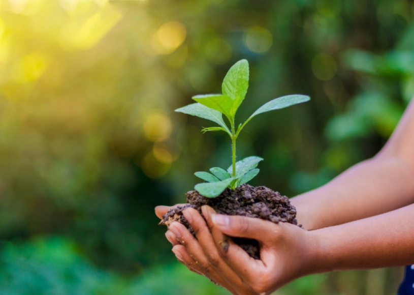 Como semear um futuro sustentável?