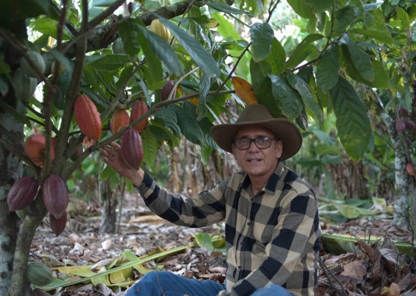 Crescimento do cooperativismo financeiro impacta no agronegócio