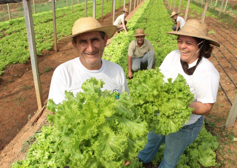 Governo institui grupo de trabalho para criar PAC da agricultura familiar