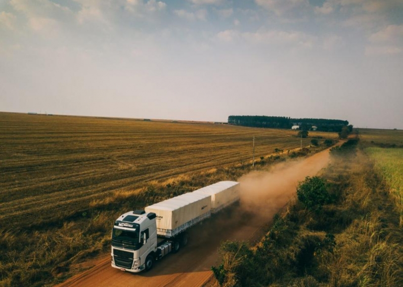 Boletim Logístico: Concentração de colheita da soja influencia preços de transporte de grãos